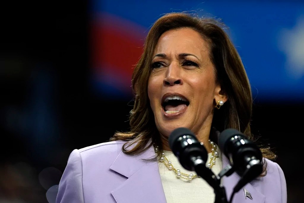 The dangerous Kamala Harris price control farce