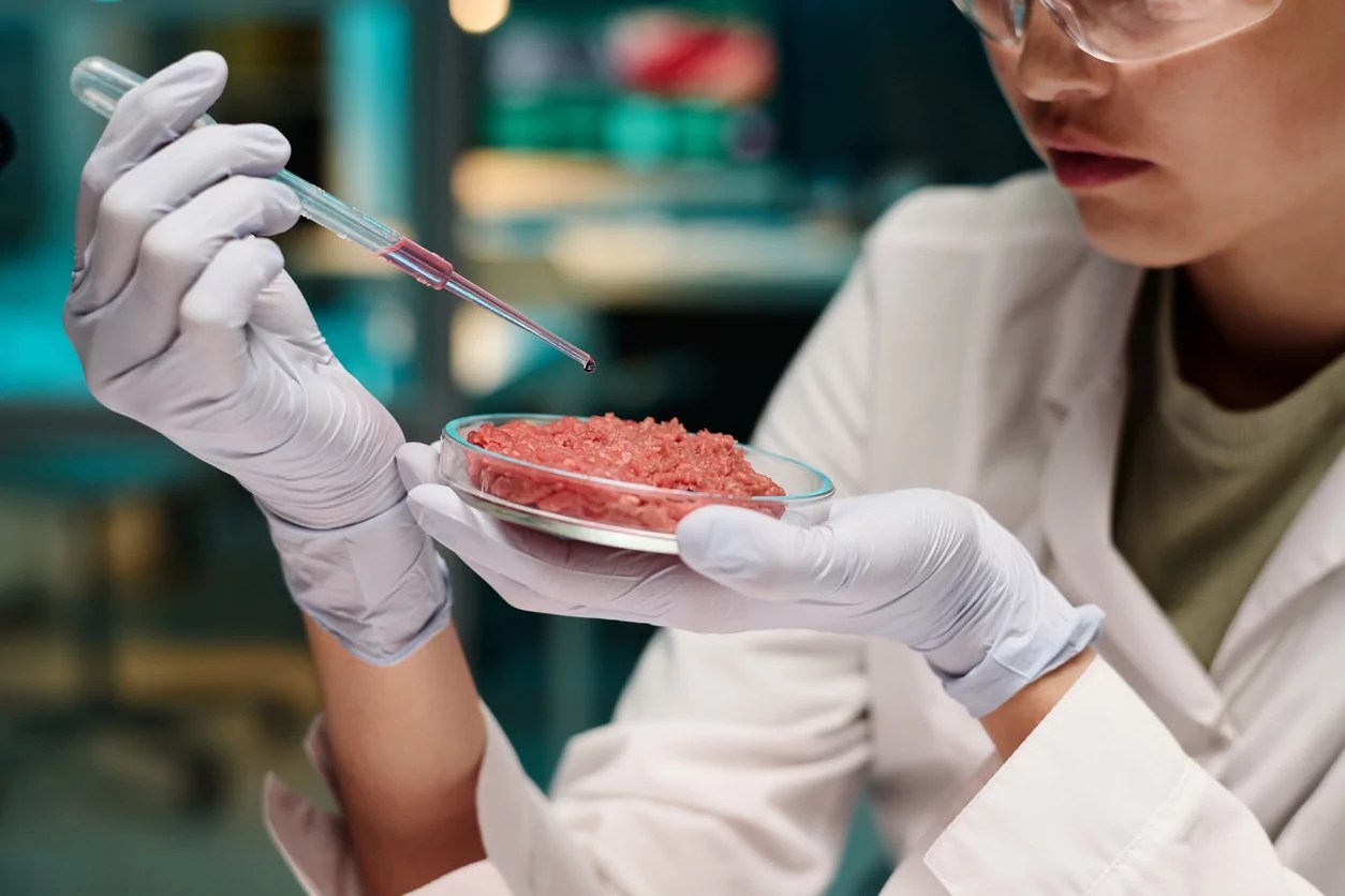 South Dakota advances bill banning lab-grown meat
