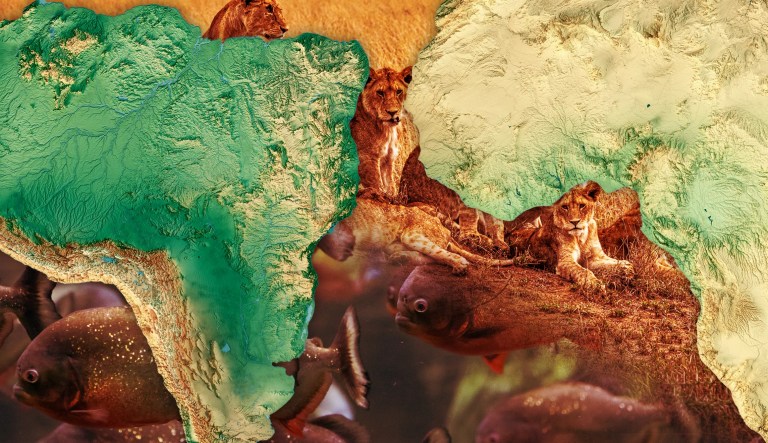 The continental divide in types of scary