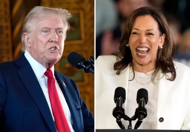 Kamala Harris wants to ‘Make America Great Again’ with her own border wall