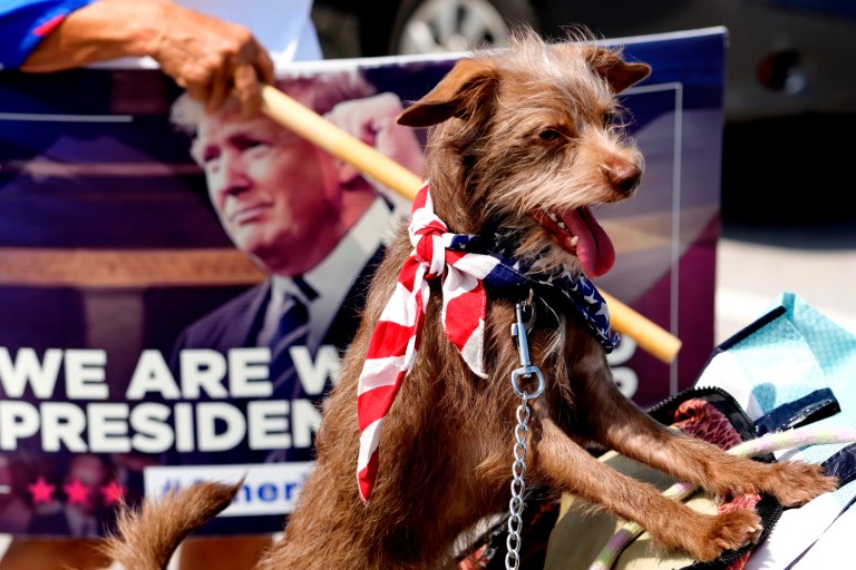 Animal cruelty is yet another reason to secure our southern border