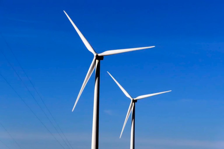 Concerns about endangered whale population threaten Biden-approved New Jersey offshore wind project