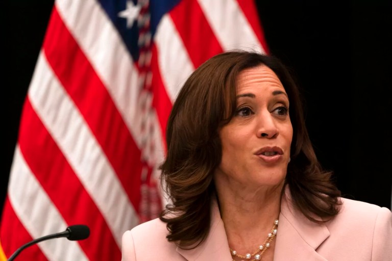 Harris campaign poaches aide from climate group tied to anti-gas stoves push