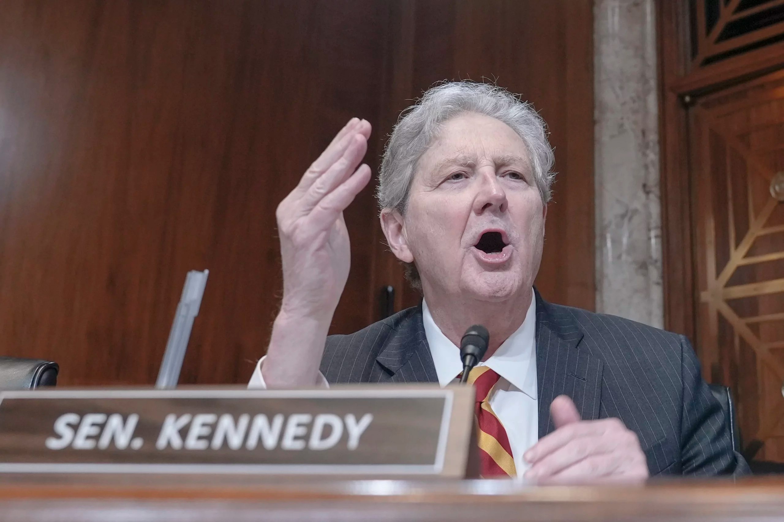 GOP senator accuses Arab American witness of supporting Hamas: ‘You should hide your head in a bag’