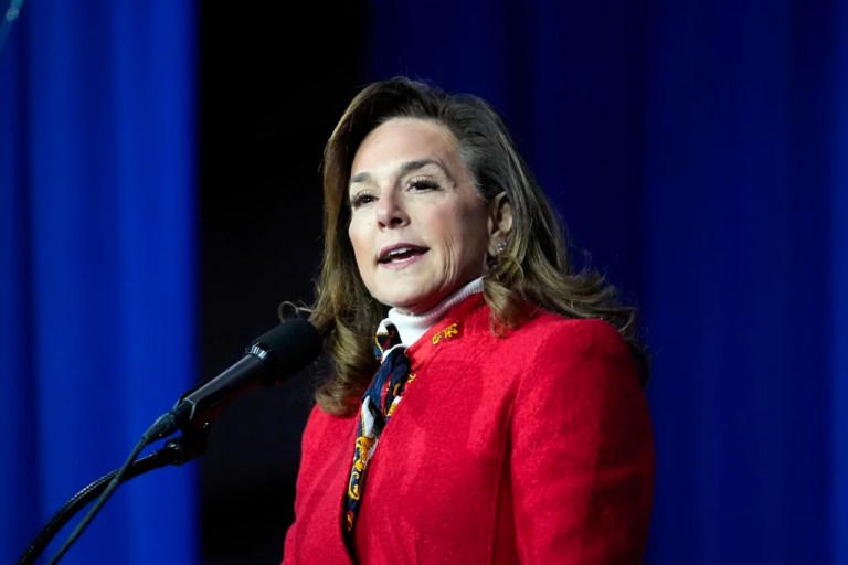 Lisa McClain speaks before Republican presidential candidate former President Donald Trump at a campaign rally.