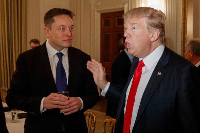 Musk tells Trump ‘I can’t wait’ to drain the DC swamp