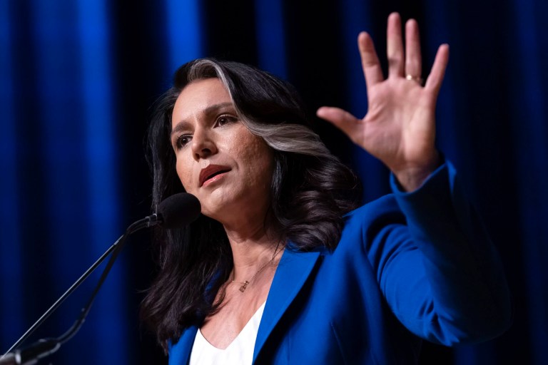 Dick Cheney’s endorsement makes 2024 choice ‘very clear’: Tulsi Gabbard
