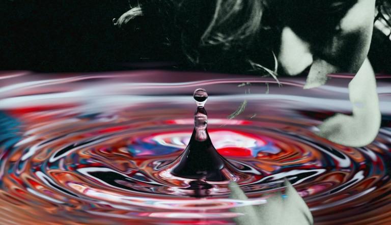 Rachel Kushner’s Creation Lake is a spy thriller set in the dangerous world of ideas