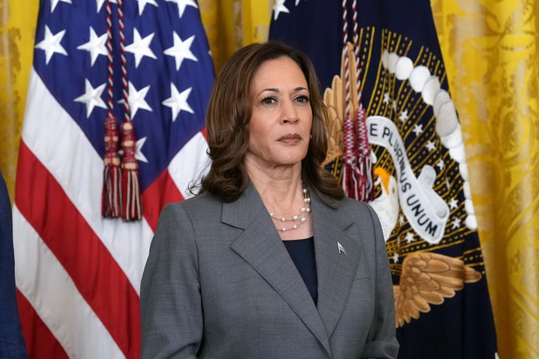 Guns for me but not for thee, Harris says