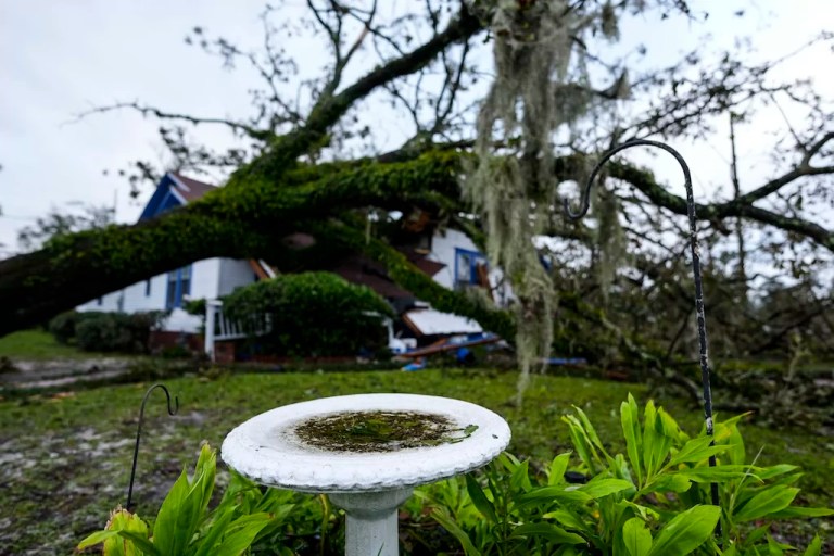 Trump to visit Georgia after Helene while Biden waits for FEMA