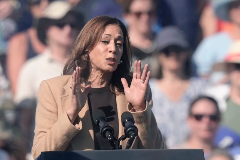 Harris regains support from black voters but lags behind 2020 margins: Poll