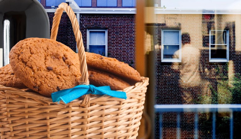 Here comes the neighborhood