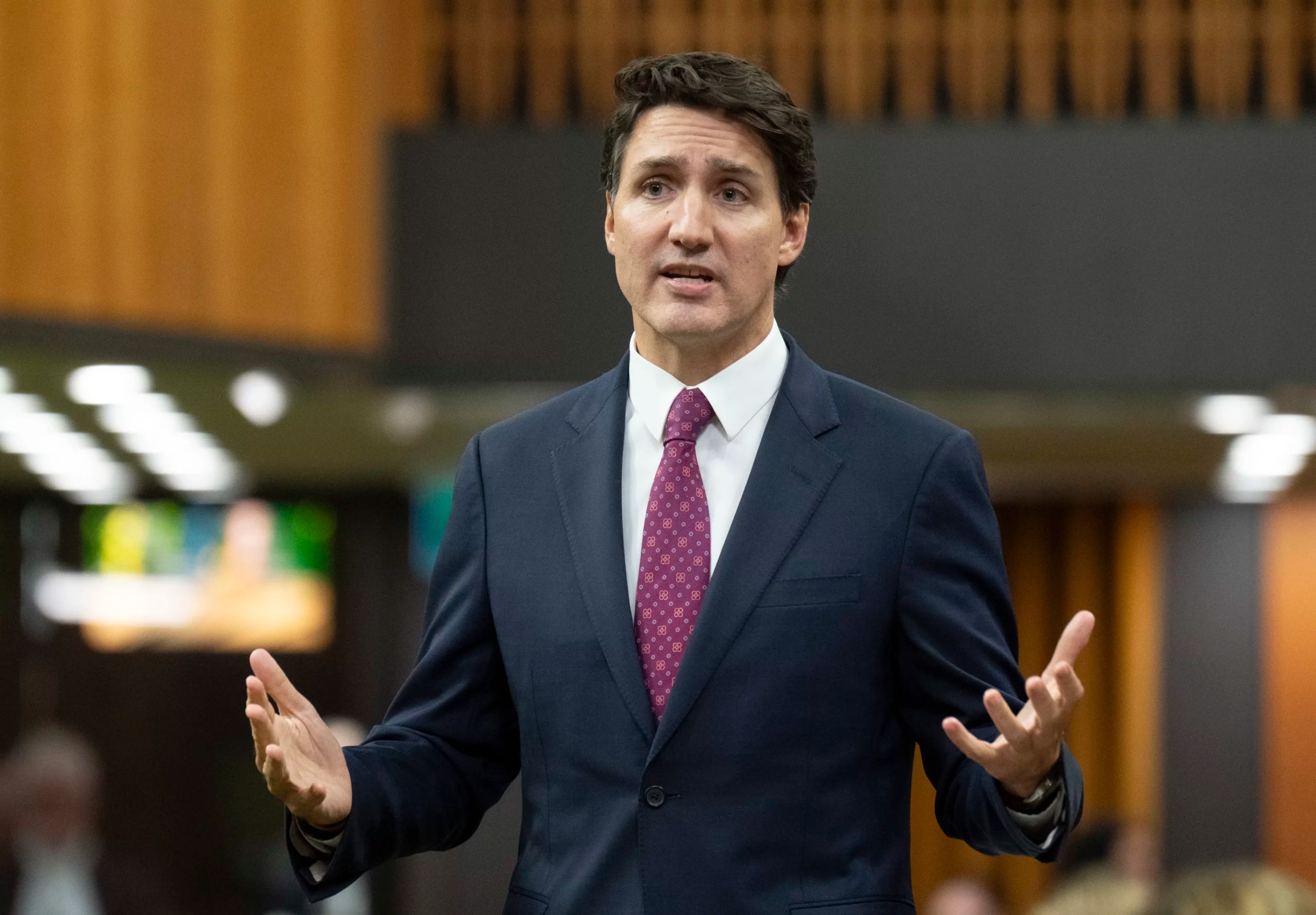 Jordan Peterson slams Trudeau’s attempt to solve immigration crisis of his own making