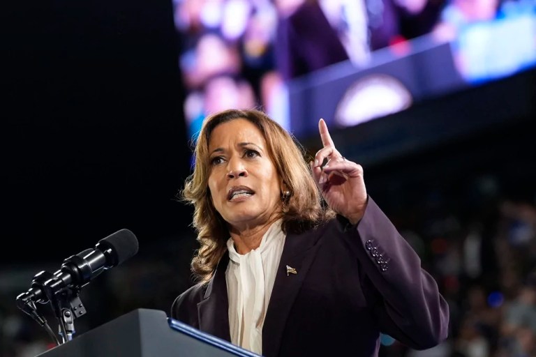 Salena Zito predicts Harris campaign’s ‘dark message’ won’t appeal to voters