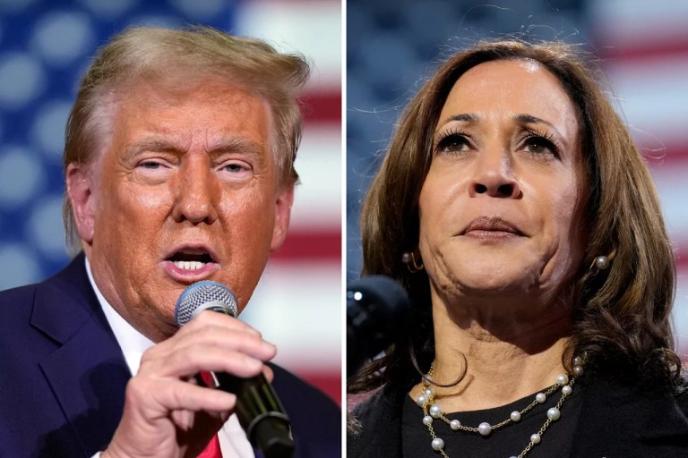 Democrats and double standards: There’s a big difference between how Trump and Harris got to be their parties’ nominees