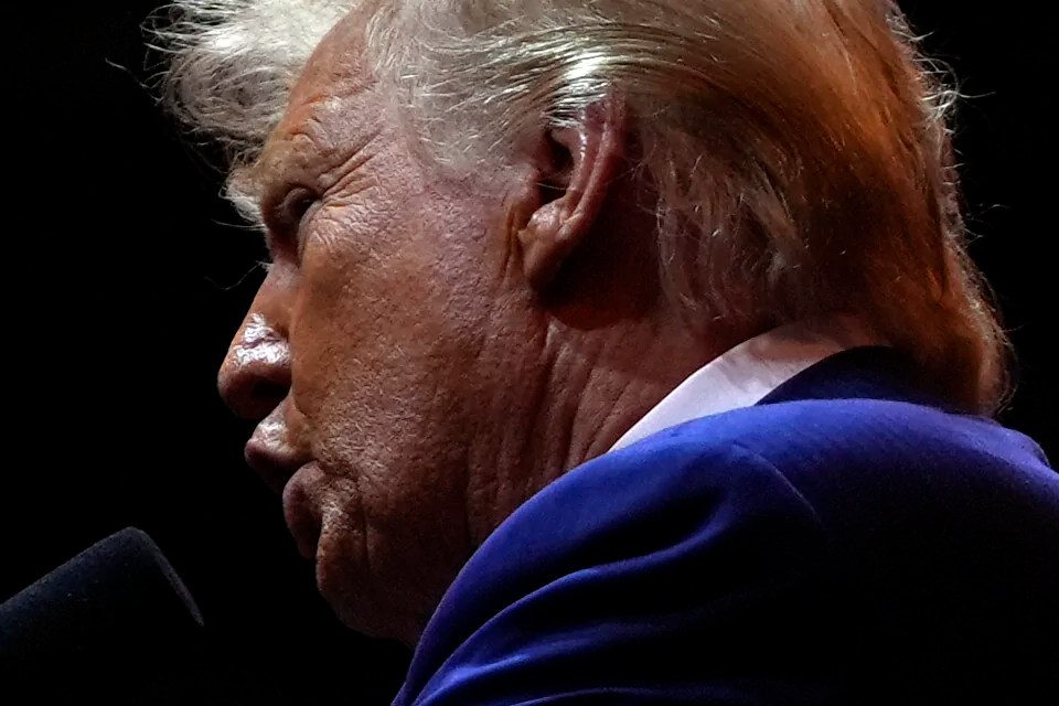 ‘Overconfidence’ from supporters could stunt Trump victory: Sarah Bedford