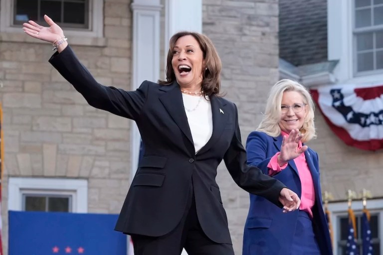 The ‘single woke female’ election