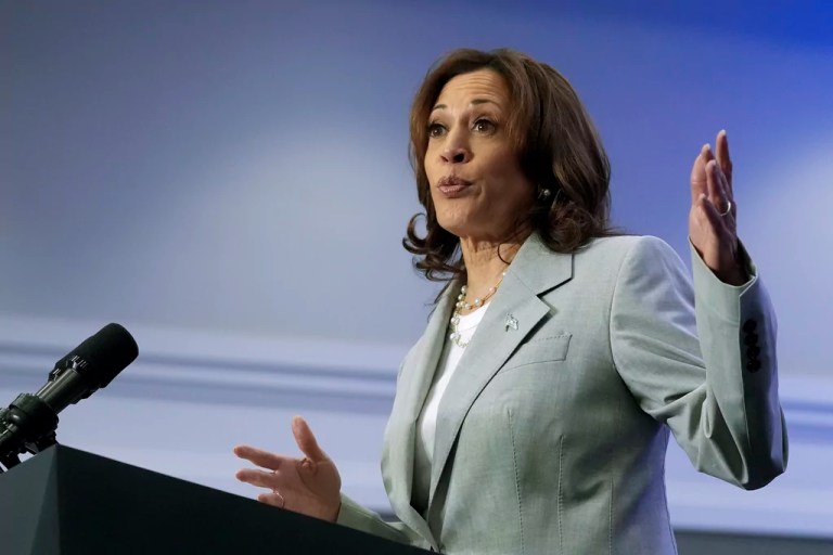 Former Harris aide suggests plan in which she can become 47th president after election defeat