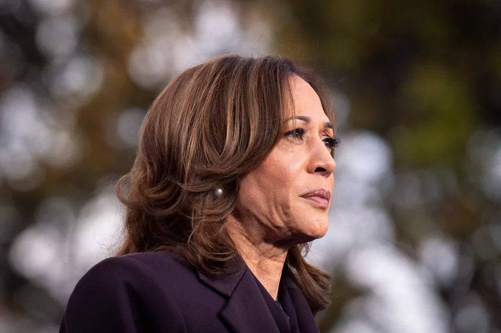 Harris hints her Hawaii vacation was preparation for political comeback