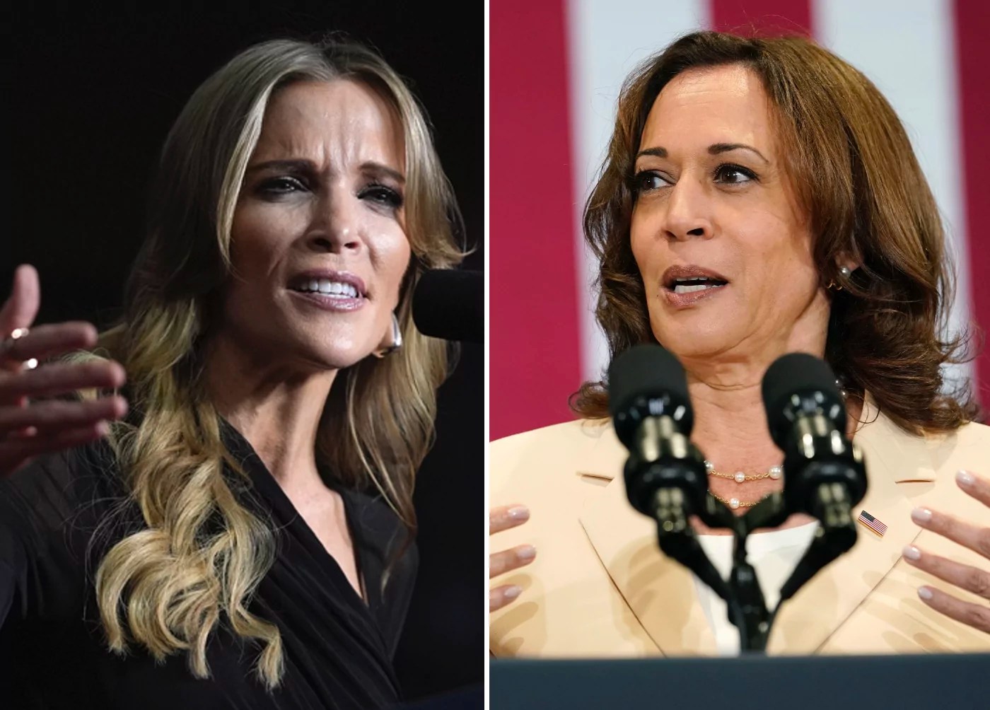Megyn Kelly predicts Harris won’t recover from 2024 loss: ‘She’s not the leader of her party’ 