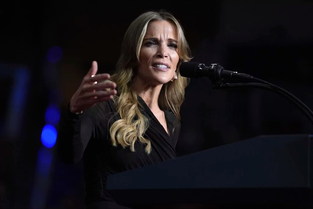 Megyn Kelly touts Trump border and DEI policy leadership, slams critics over president’s past
