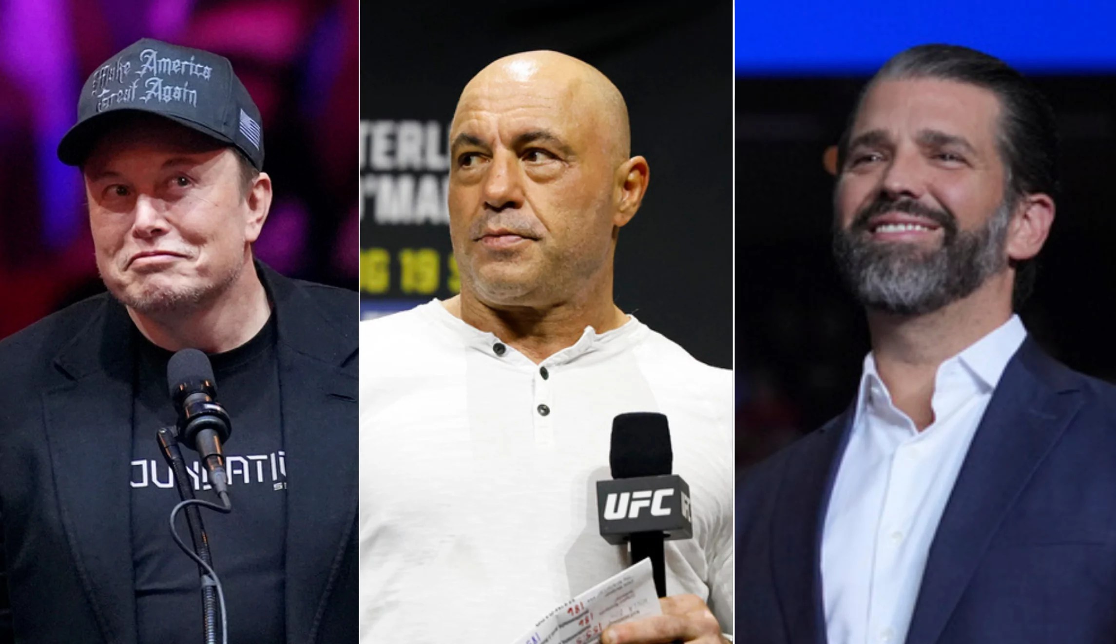Joe Rogan, Donald Trump Jr., and Elon Musk joke about MSNBC takeover