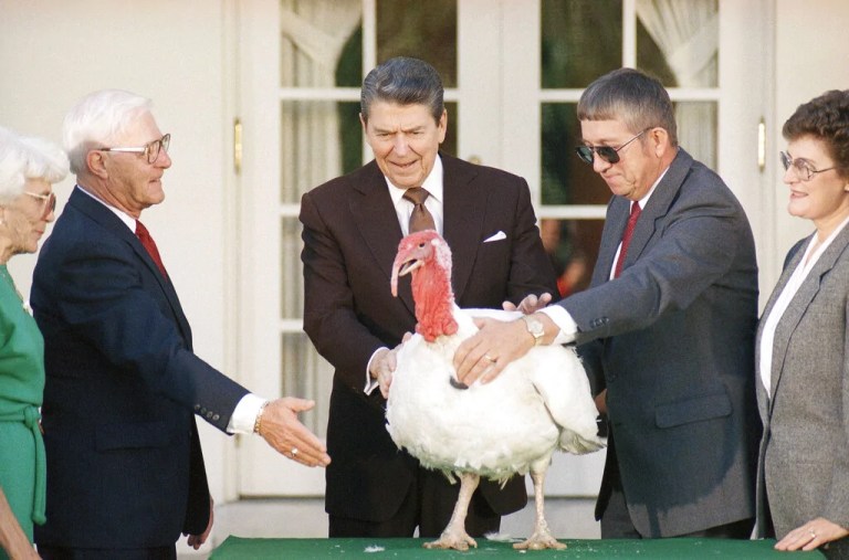 President Ronald Reagan takes part in the annual White House Thanksgiving turkey presentation.