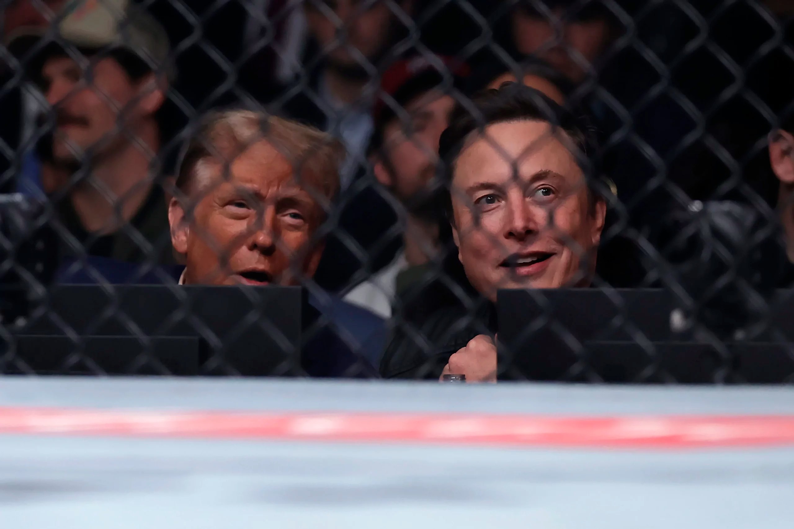 Public likes Trump’s picks: RFK Jr., Musk, Rubio, and Huckabee most popular