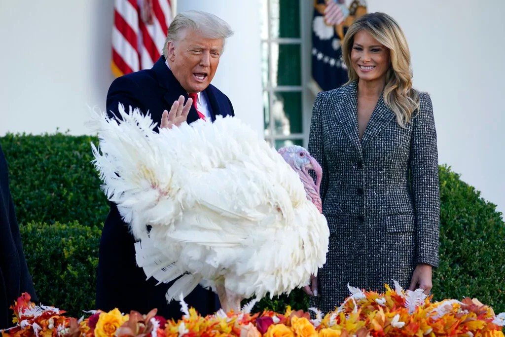 How the White House Thanksgiving Turkey pardon came to be