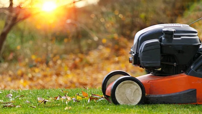 Is mowing your lawn really the end of the world?