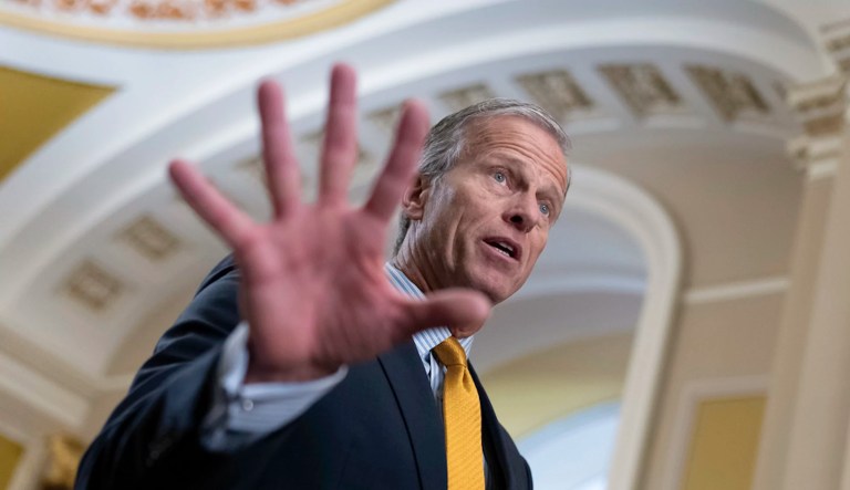 Thune tries to fend off Trump intervention in Senate leader race