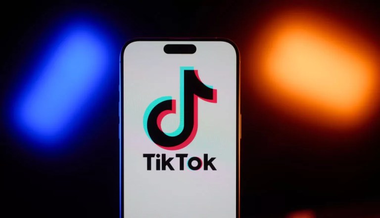 TikTok app on a phone.
