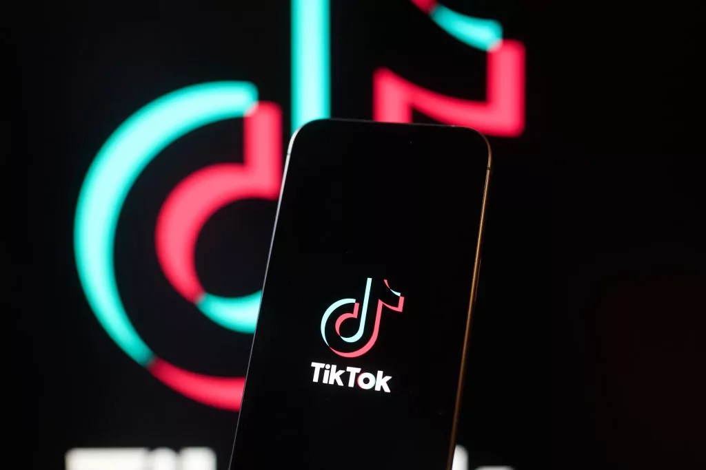 As TikTok faces a possible ban in 2025, these lawmakers still have accounts on the app
