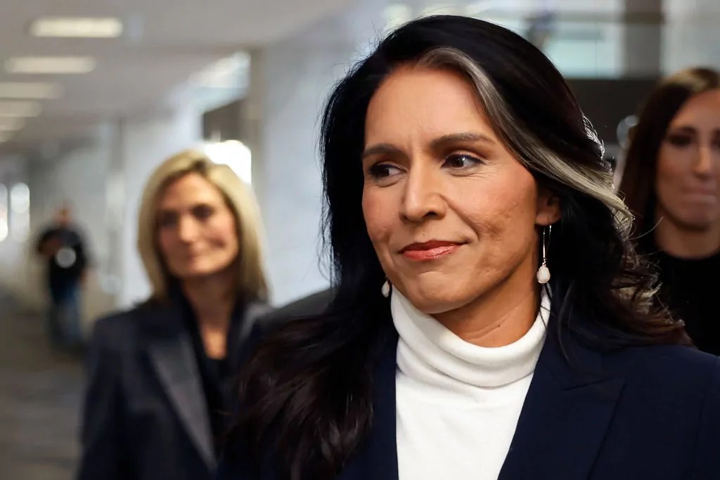 Gabbard declassifies Biden-era plan to counter domestic terrorism