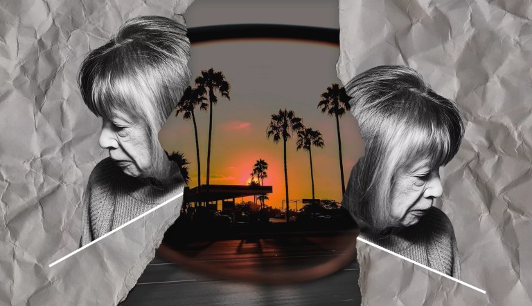 The Didion vibes economy