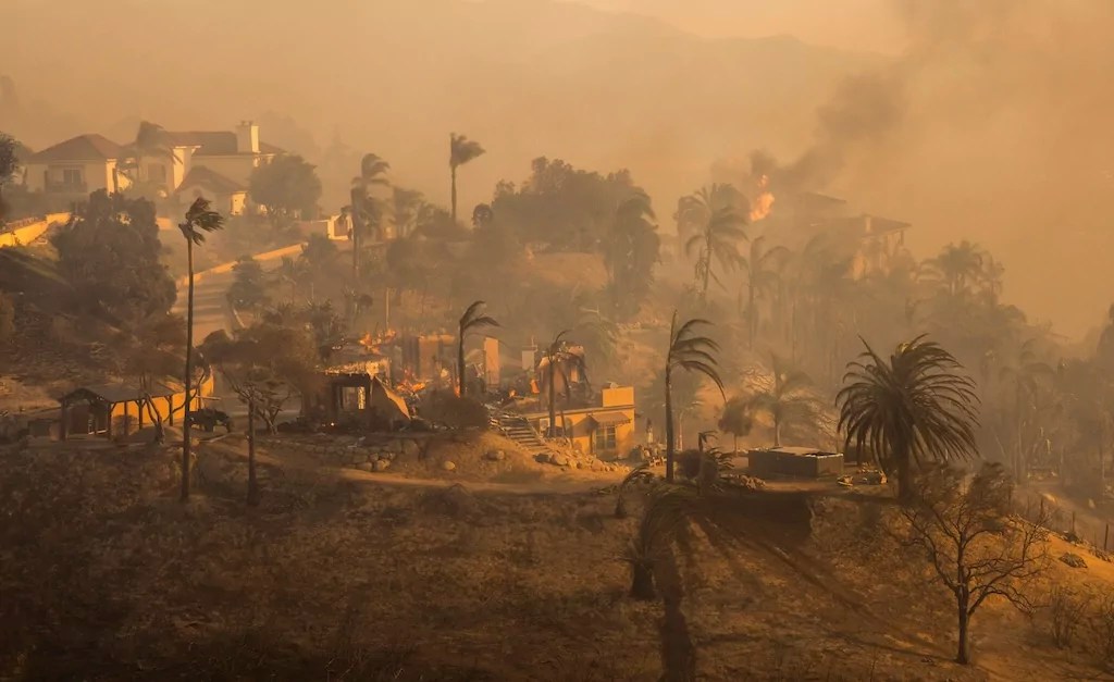 Business reports give the lie to climate alarmism