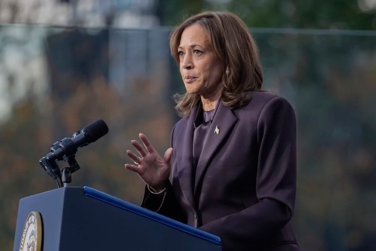 DNC official scorches ‘delusions’ of Harris considering 2028 bid