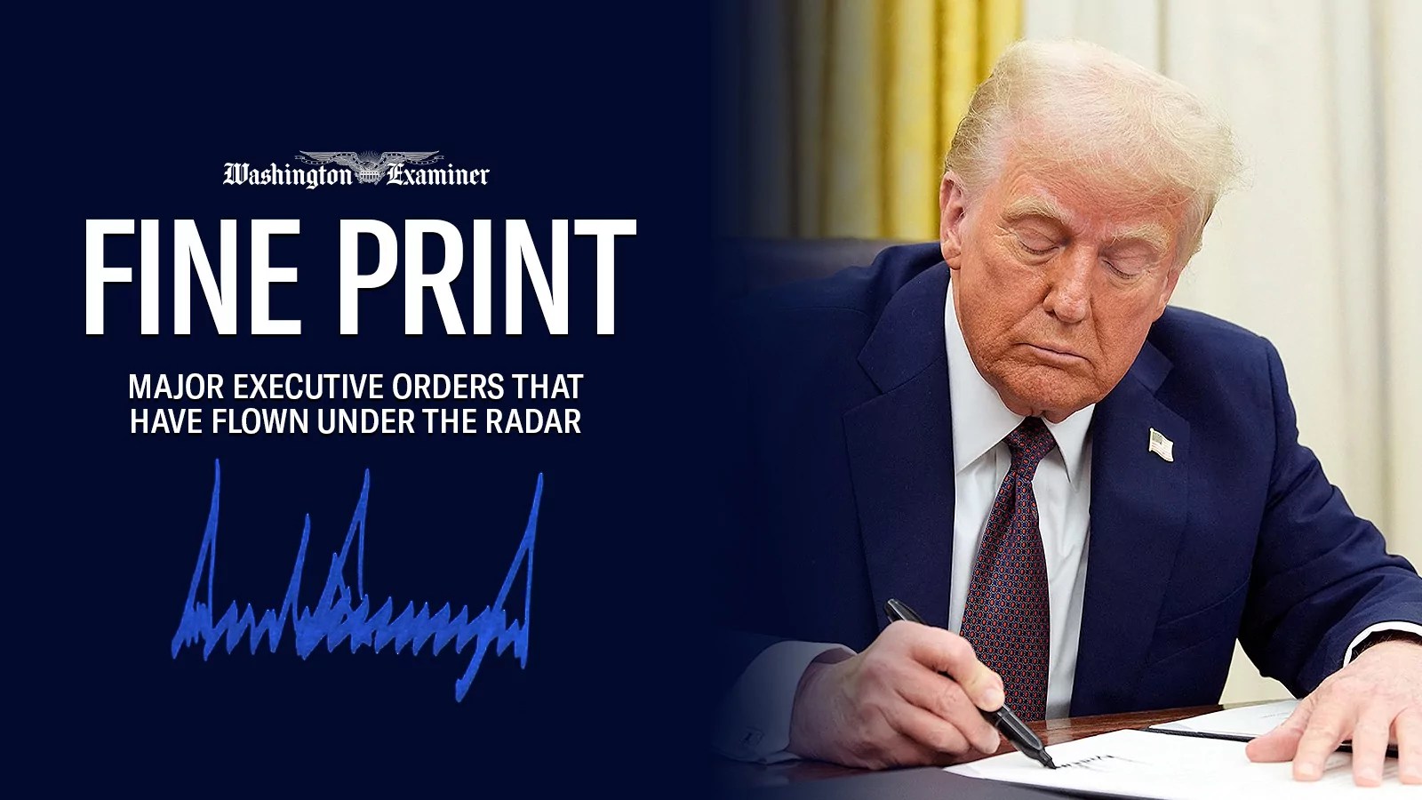 The Fine Print: Major Trump executive orders that flew under the radar