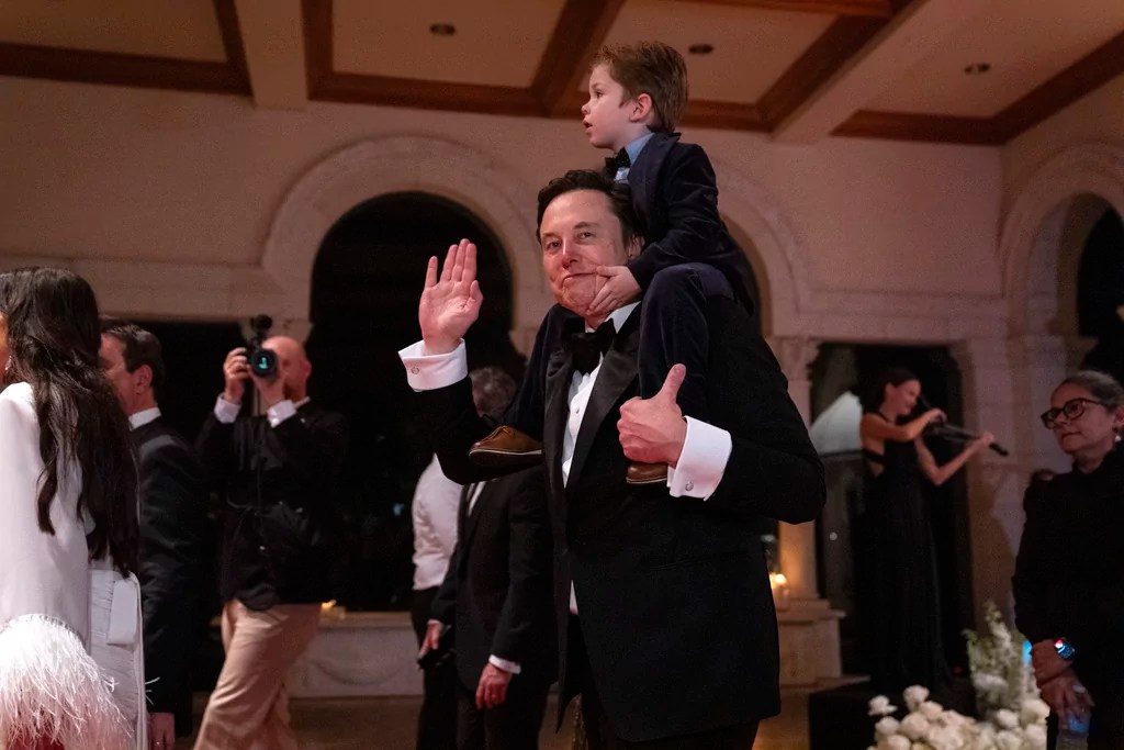 Musk makes room for the worst of surrogacy