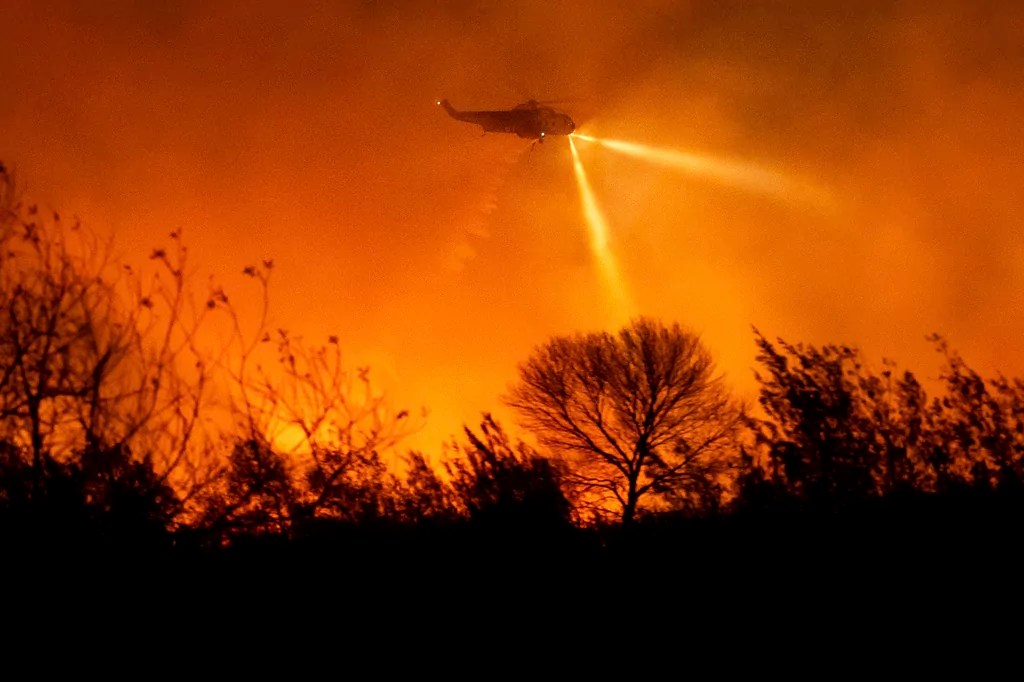 There is no ‘political will’ to rebuild California after the wildfires: Tiana Lowe Doescher