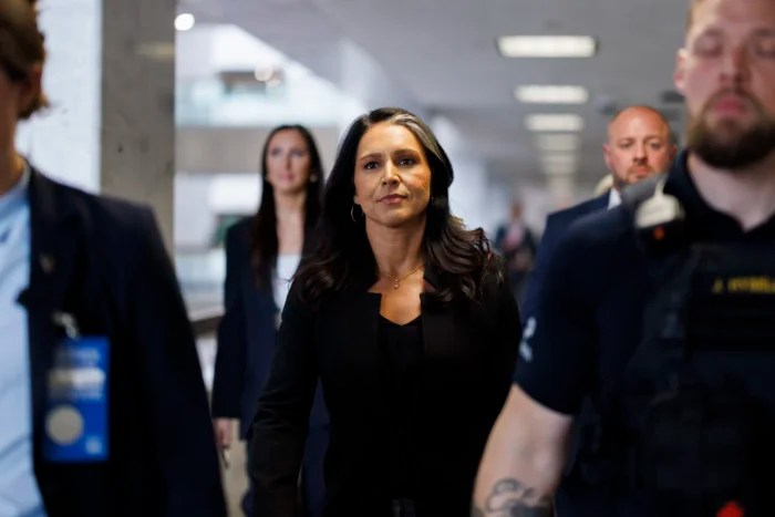 Tulsi Gabbard, President-Elect Donald Trump's nominee to be Director of National Intelligence, is seen in the Hart Senate Office Building in Washington DC, as she meets with Senators on Tuesday, December 17, 2024. (Photo by Aaron Schwartz/Sipa USA)(Sipa via AP Images)