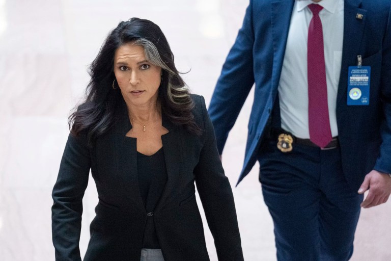 Elizabeth Warren claims ‘most’ of Senate sees Tulsi Gabbard as a security threat