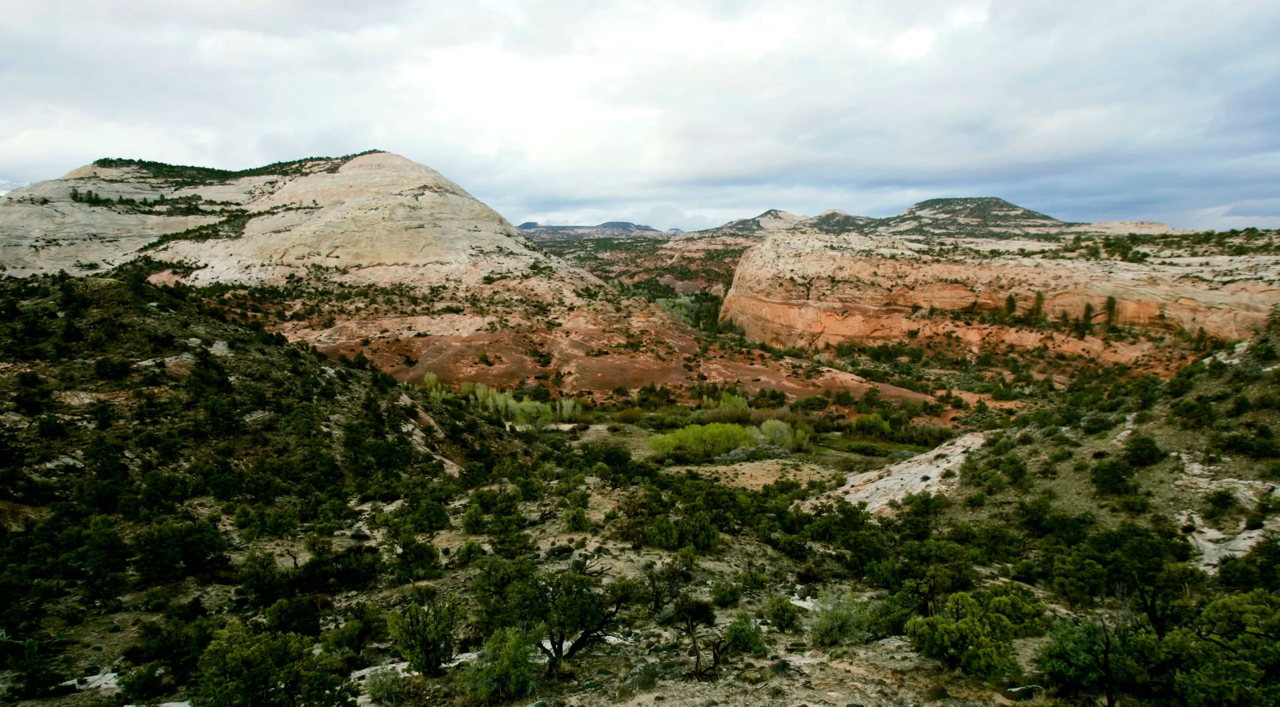 The West deserves a say in public lands