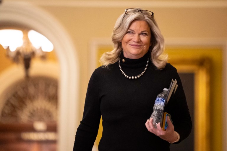 Lummis reintroduces bill to block CCP from owning farmland near federal property 