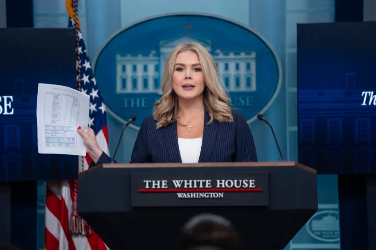 Karoline Leavitt promises to reveal more ‘receipts’ on behalf of DOGE