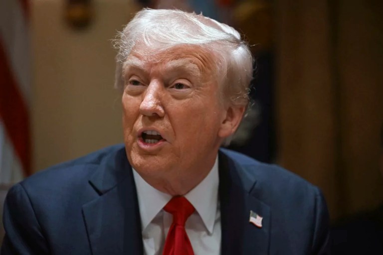 Elon Musk speaks as President Donald Trump holds a Cabinet meeting at the White House in Washington, Wednesday, Feb. 26, 2025.