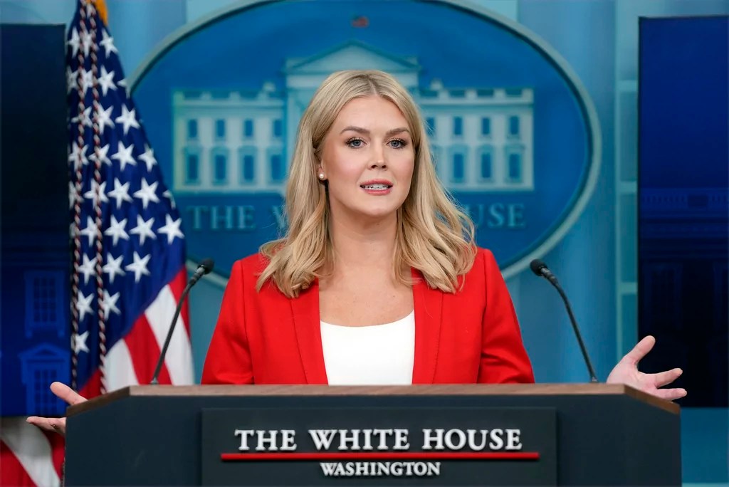 Amy Gleason identified as acting DOGE leader after White House insisted it was not Musk