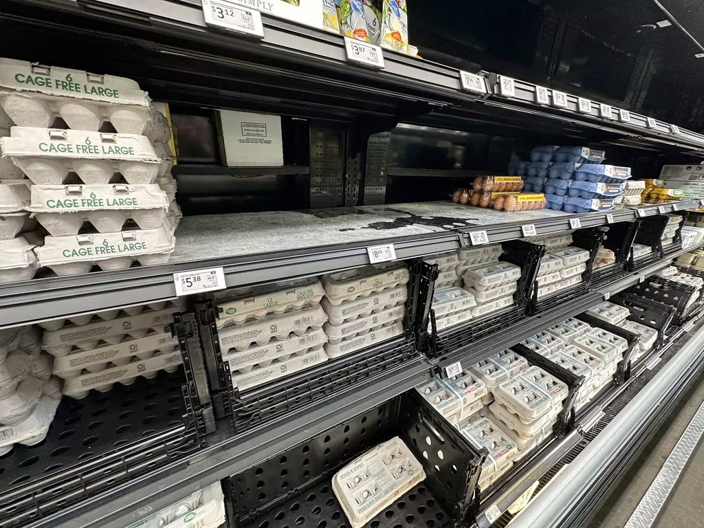 Egg prices so high Americans are smuggling them over the border
