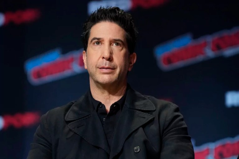David Schwimmer participates in the 