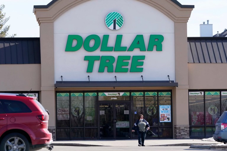 Dollar Tree selling off Family Dollar chain amid ‘multiyear transformation’